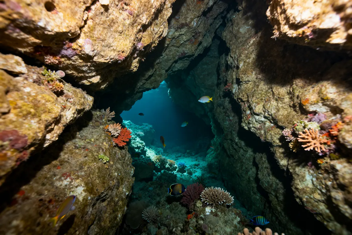 Grotte sous marine des Vieilles : Explorez la crique secrète