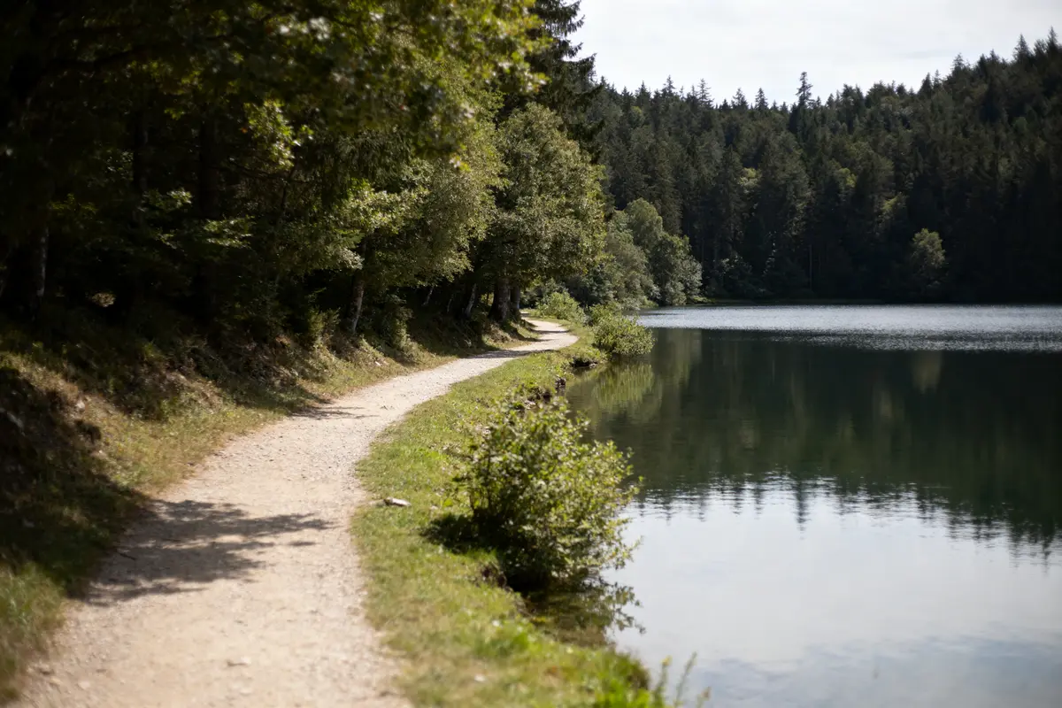Chemin bordant le lac de Xoldokogaina entouré de forêt verdoyante et ciel dégagé