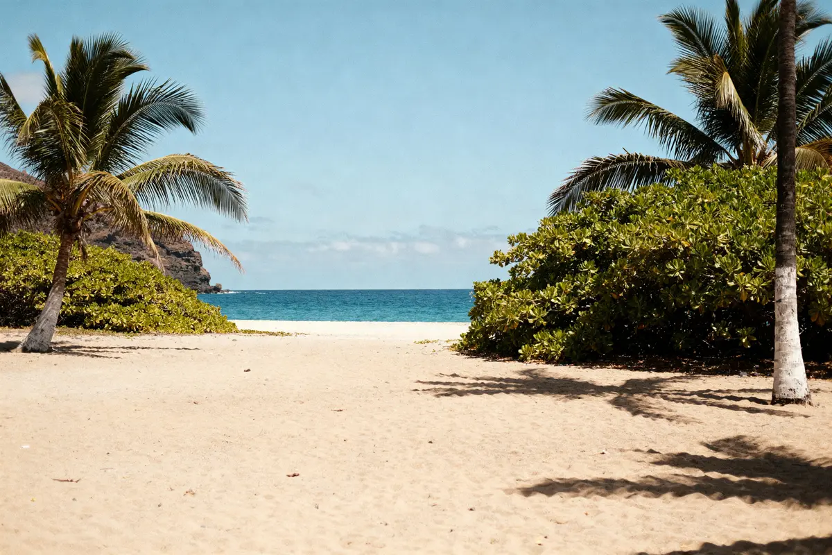 Où partir en février au soleil pas cher ? Top destinations