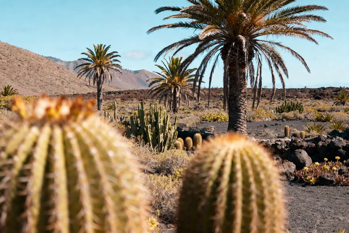 Où partir en vacances en février ? 12 destinations ensoleillées